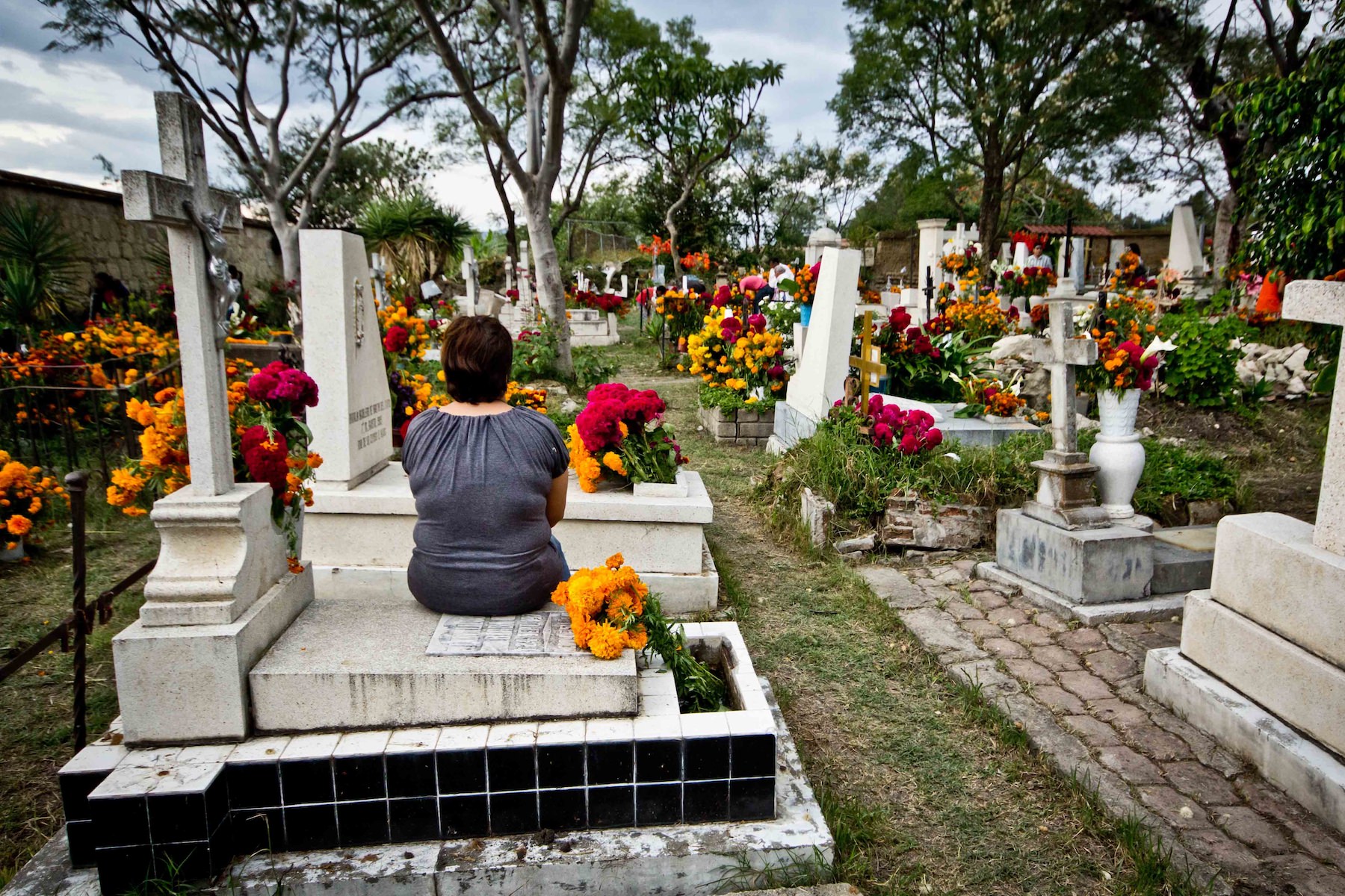 The Difference Between Traditional Burial Plots and Plots for Cremated Remains