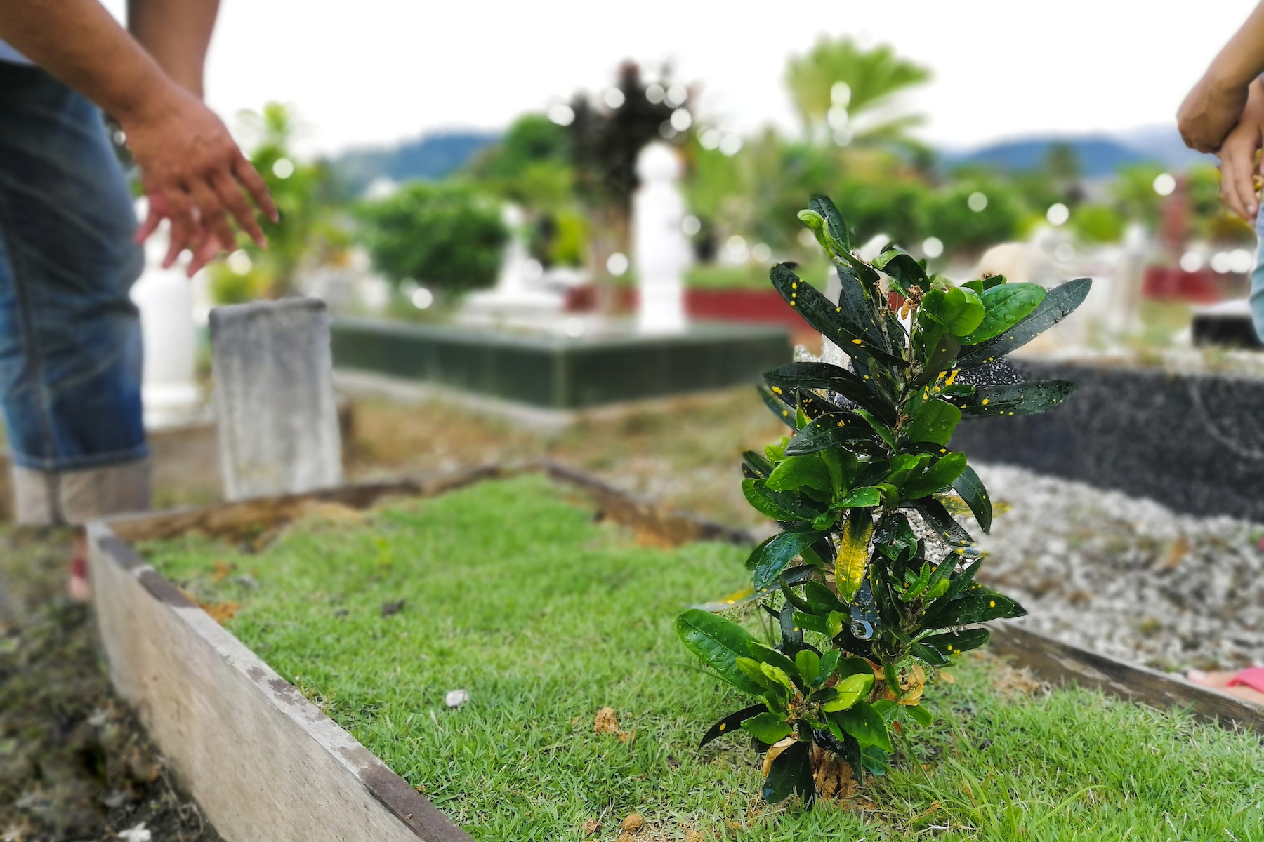 Comparison of Traditional, Green and Conservation Cemeteries